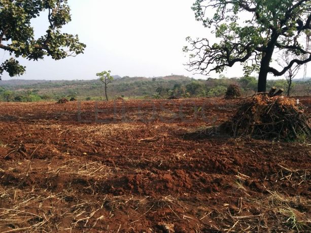 Fazenda Agropecuária | 362 ha · Lucala