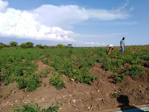 Fazenda Agropecuária | 362 ha · Lucala