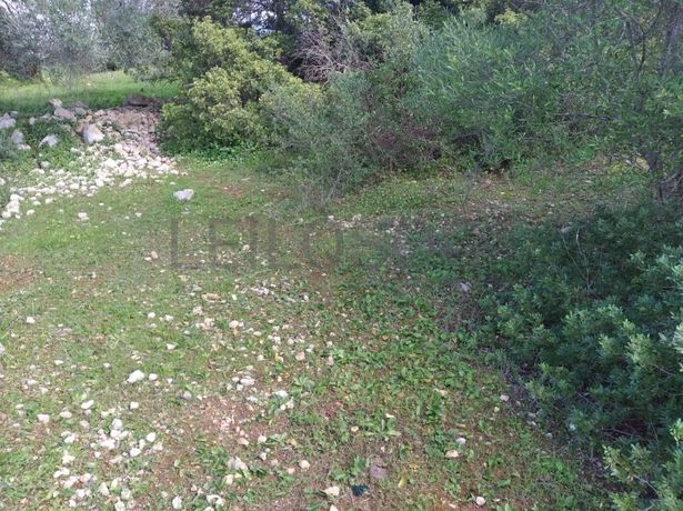 Quinhão Hereditário · Loulé