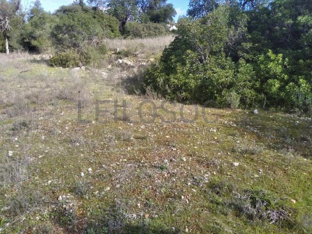 Quinhão Hereditário · Loulé