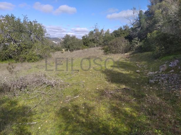 Quinhão Hereditário · Loulé