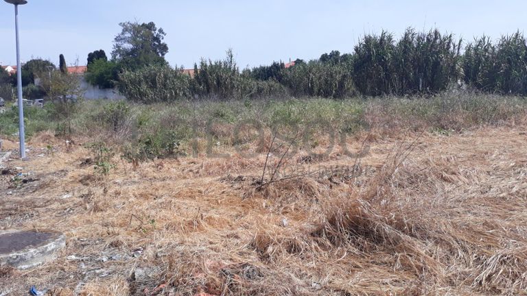 Terreno · Cartaxo