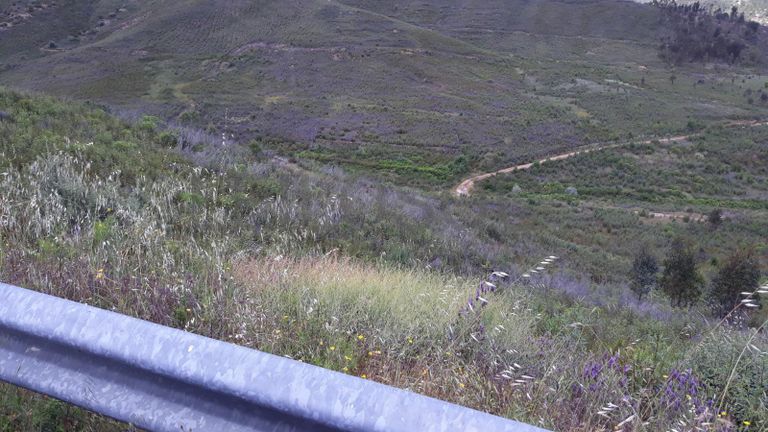 Terrenos · Vila Velha de Ródão