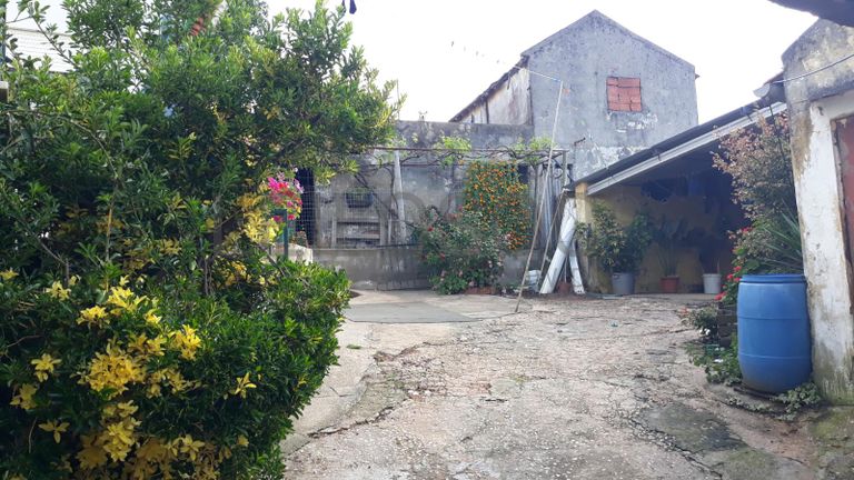 Quinhão Hereditário · Caldas da Rainha