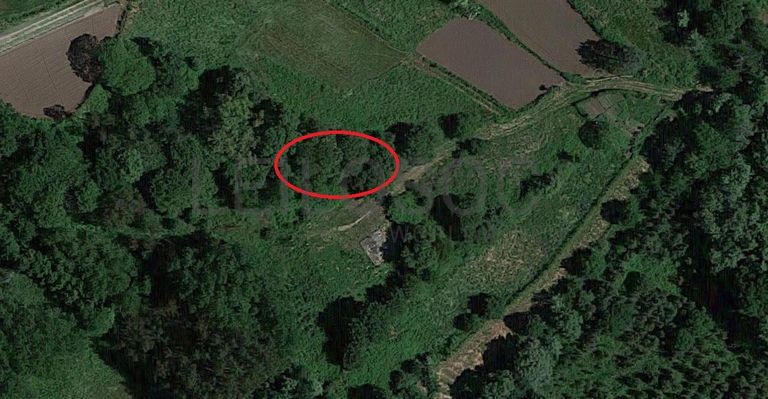 Terreno · Proporções de Terrenos · Oliveira de Frades