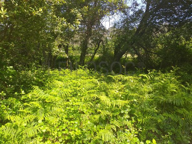 Terreno · Proporções de Terrenos · Oliveira de Frades