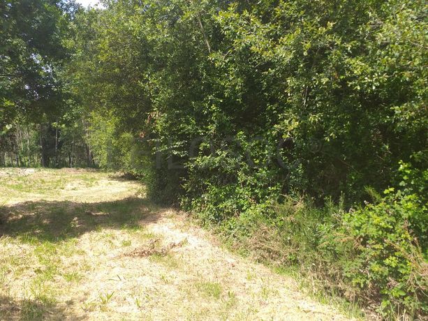 Terreno · Proporções de Terrenos · Oliveira de Frades