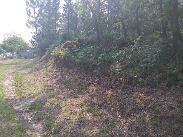 Terreno · Proporções de Terrenos · Oliveira de Frades