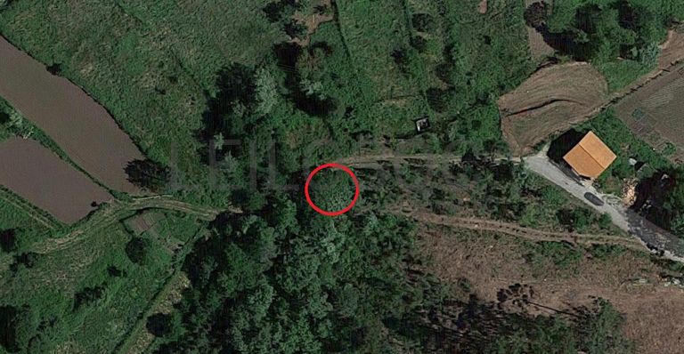 Terreno · Proporções de Terrenos · Oliveira de Frades