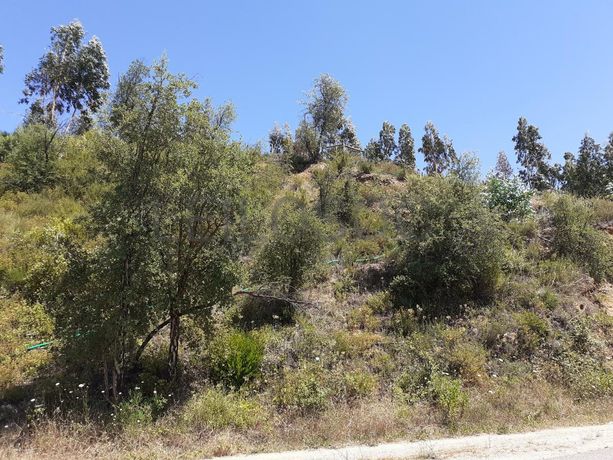 Quinhão Hereditário · Abrantes