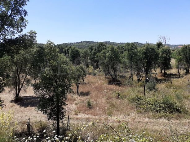 Quinhão Hereditário · Abrantes