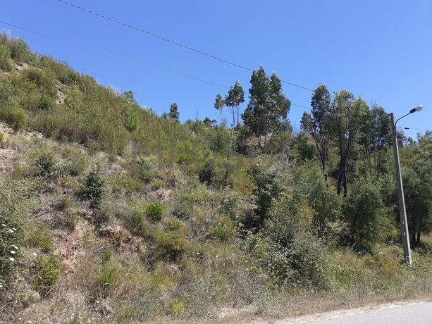 Quinhão Hereditário · Abrantes