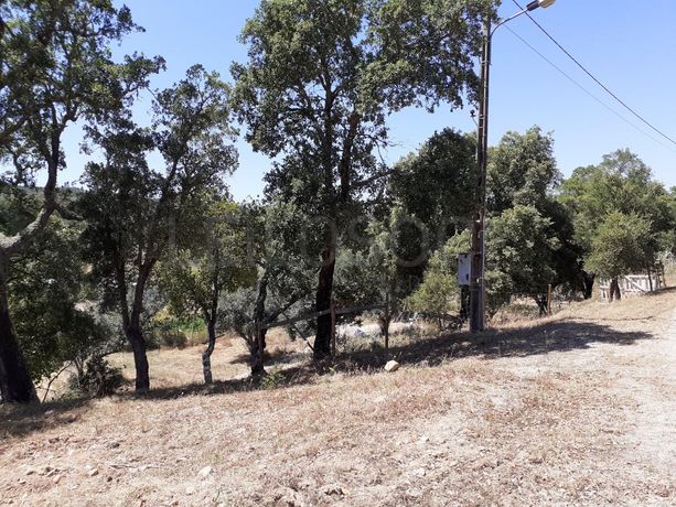 Quinhão Hereditário · Abrantes