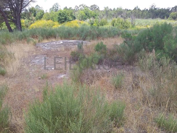 Proporção de 1/5 de 10 Terrenos · Carregal do Sal