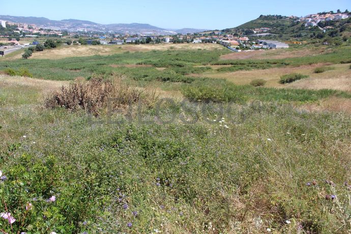 Terreno c/ 5,6 ha · Loures