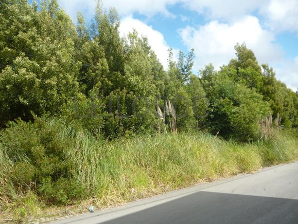 Terreno para Construção · Santa Maria da Feira