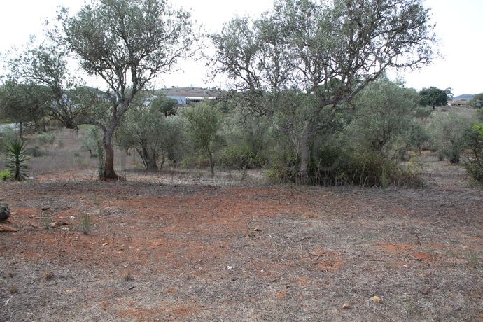 Moradia c/ Terreno · Cercal do Alentejo, Santiago do Cacém