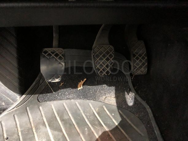 Volkswagen Passat 1.9 TDI· Ano 2001