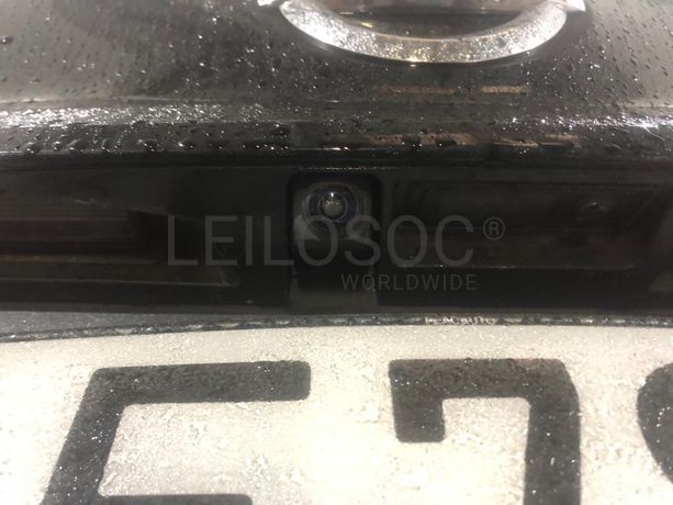 Nissan Leaf · Ano 2020