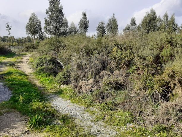 1/2 de Terreno · Viseu