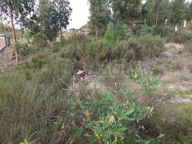 1/2 de Terreno · Viseu
