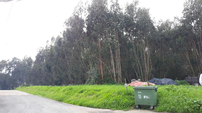 Terreno c/ +2,2 Hectares · Rio Maior, Santarém