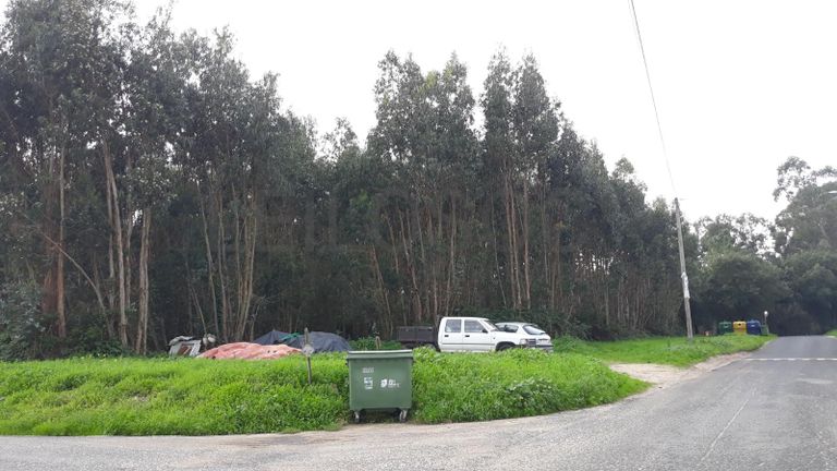 Terreno c/ +2,2 Hectares · Rio Maior, Santarém