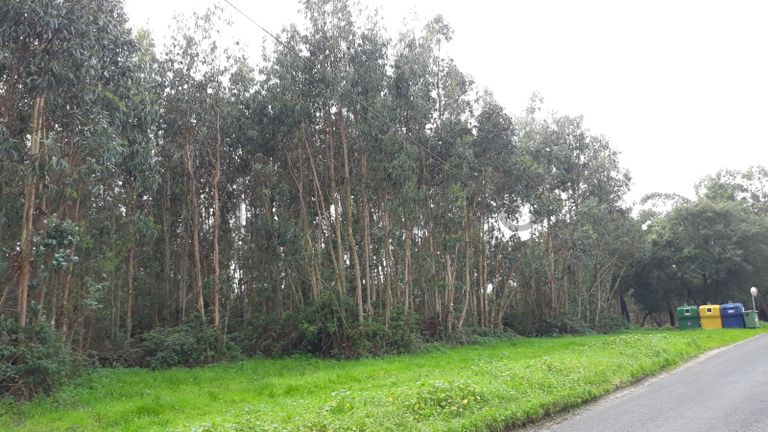 Terreno c/ +2,2 Hectares · Rio Maior, Santarém