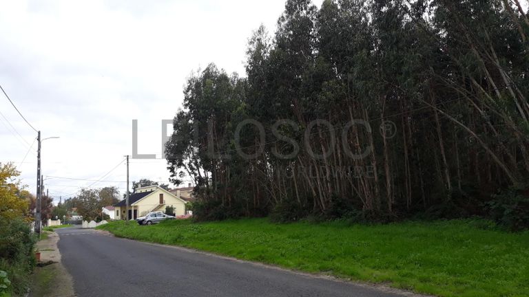 Terreno c/ +2,2 Hectares · Rio Maior, Santarém