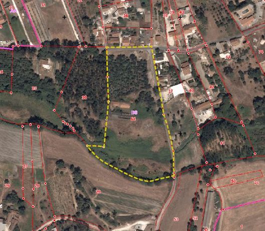 Terreno c/ +2,2 Hectares · Rio Maior, Santarém