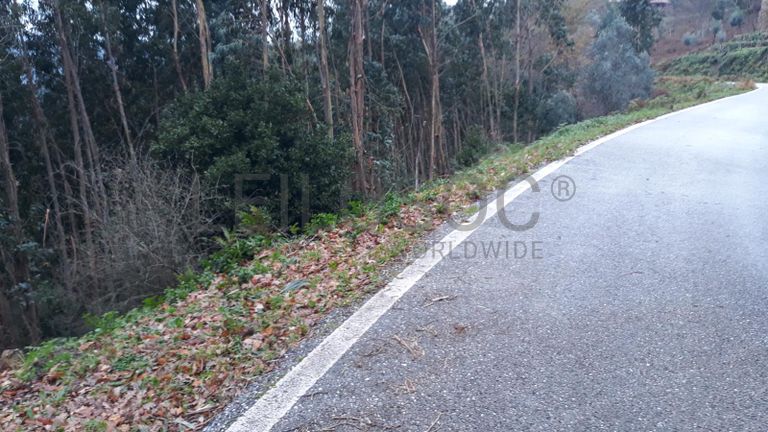 Usufruto de Moradia e Terrenos · Penela, Coimbra