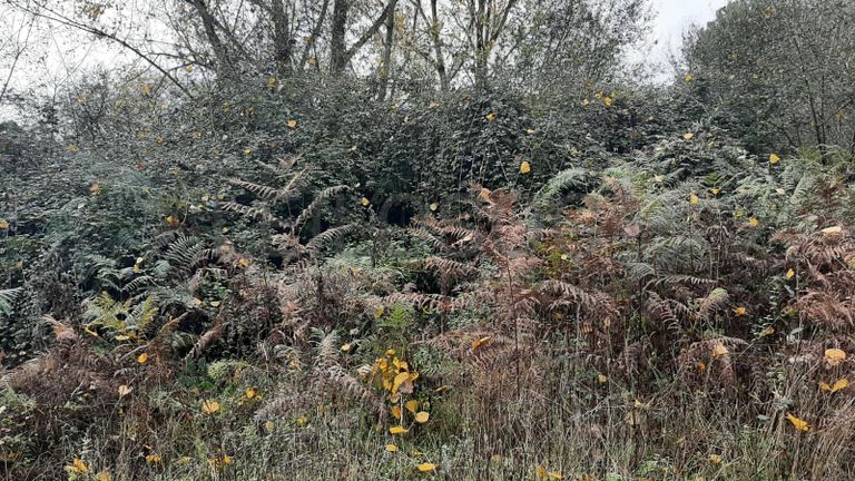 Unidade 6 - Tapada · Tondela