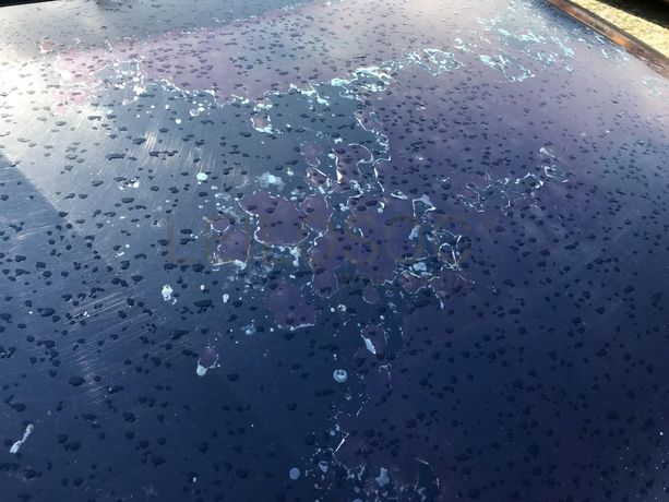 Volkswagen Passat 1.9 TDI · Ano 2004