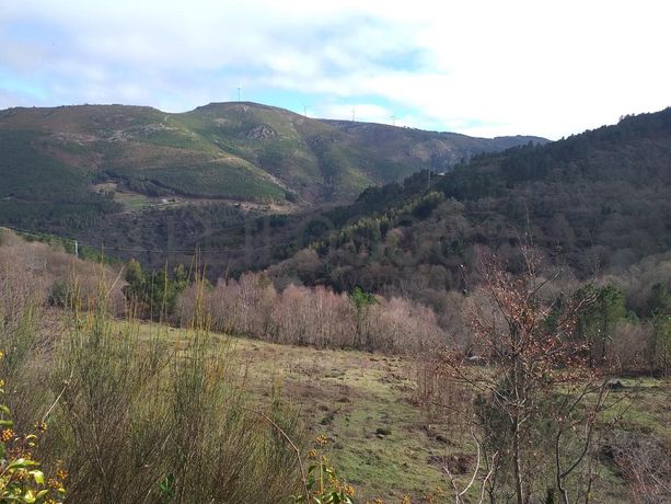 Terreno · Ribeira de Pena, Vila Real 