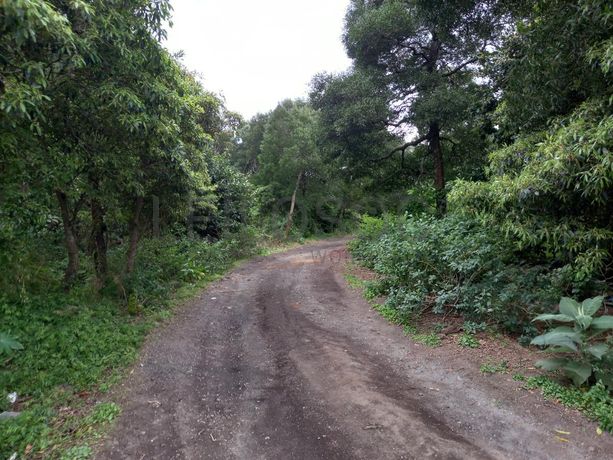 Armazém · Ponta Delgada, Arquipélago dos Açores