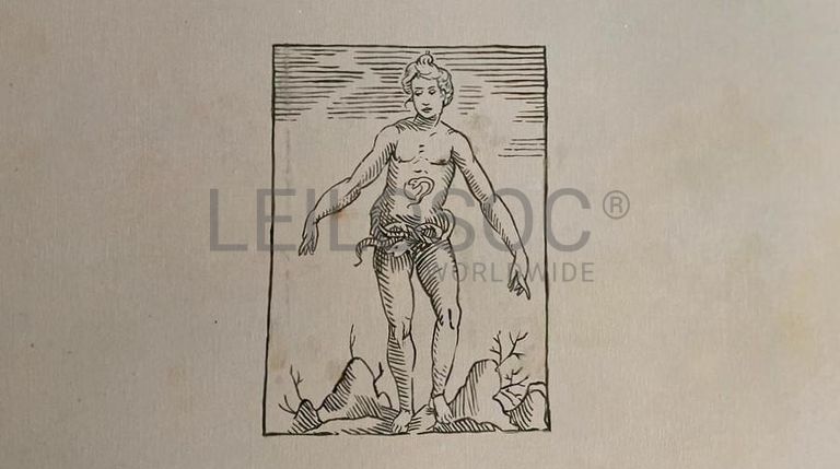 "4/3 #14" · Mário Bismarck