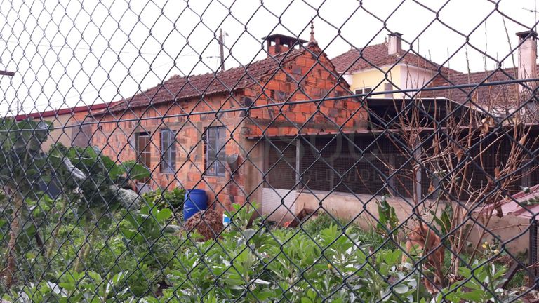 Quinhão Hereditário · Águeda · Oliveira do Bairro