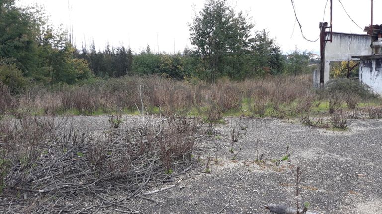 Pavilhão + Terreno · Penacova, Coimbra