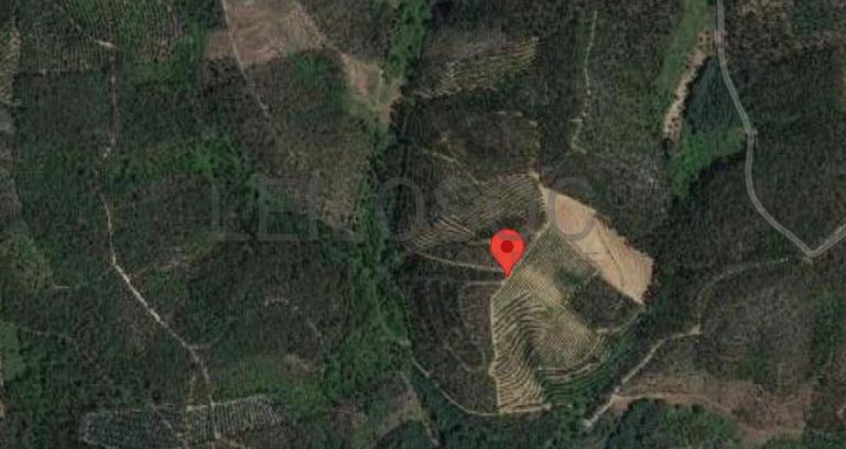 Terreno · Ferreira do Zêzere, Santarém