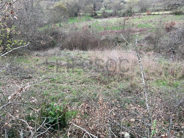 Terreno · Bragança