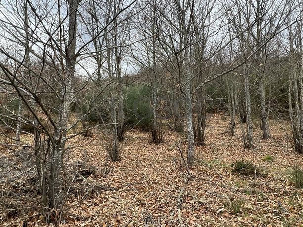 Terreno · Bragança