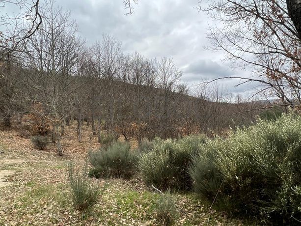 Terreno · Bragança