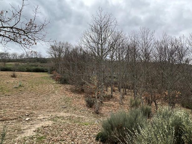 Terreno · Bragança