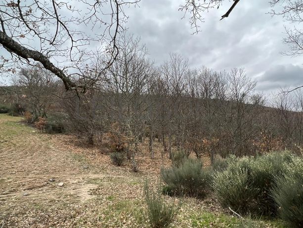 Terreno · Bragança