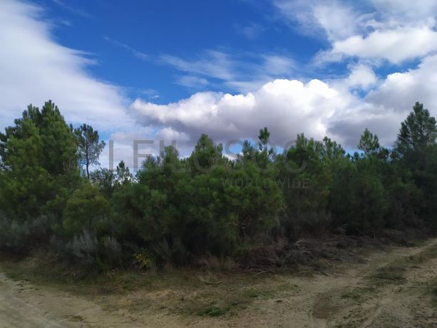 Terreno para Construção · Sernancelhe, Viseu
