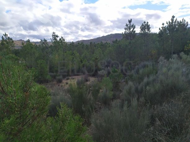 Terreno para Construção · Sernancelhe, Viseu