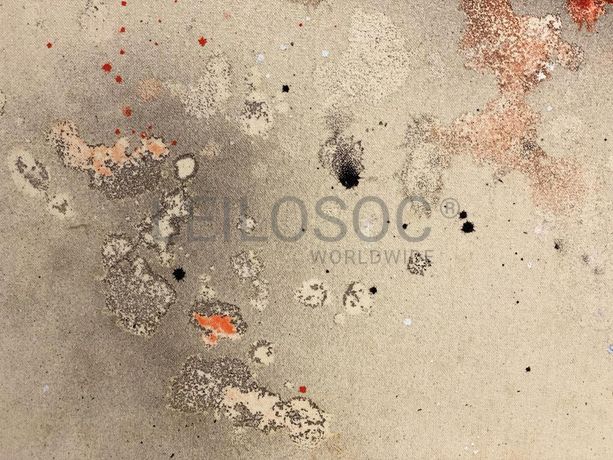 'Sem Título' · José Manuel Ciria