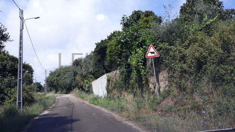 Quinhão Hereditário · Pombal