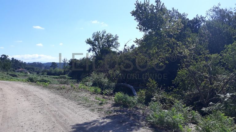 Quinhão Hereditário · Pombal