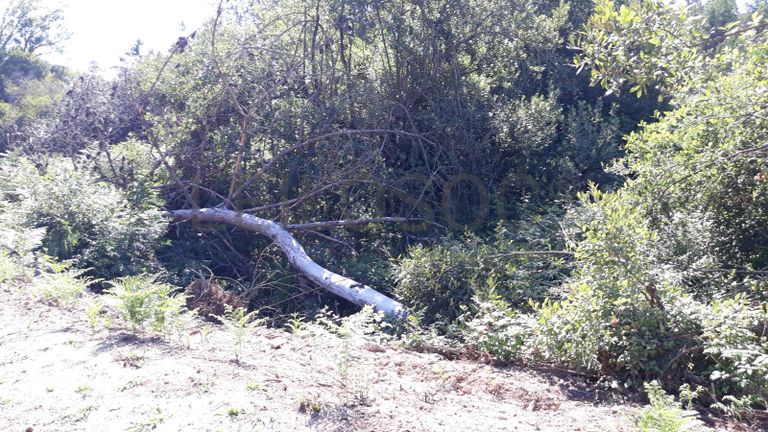 Quinhão Hereditário · Pombal